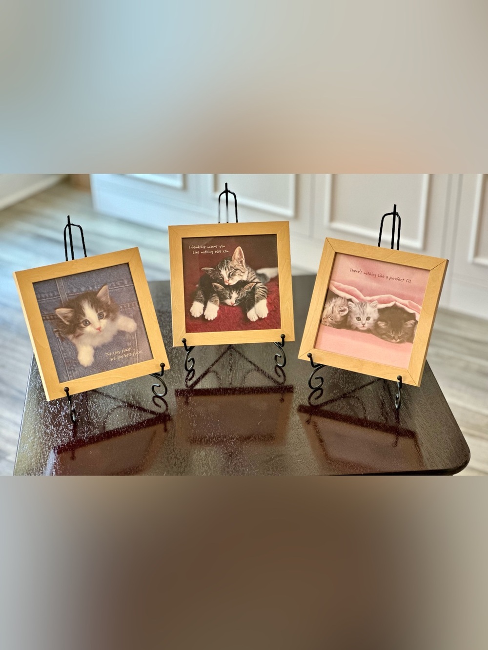 Portal Set of 3 Framed Kitten Prints Cozy Places Friendship Purrfect Fit